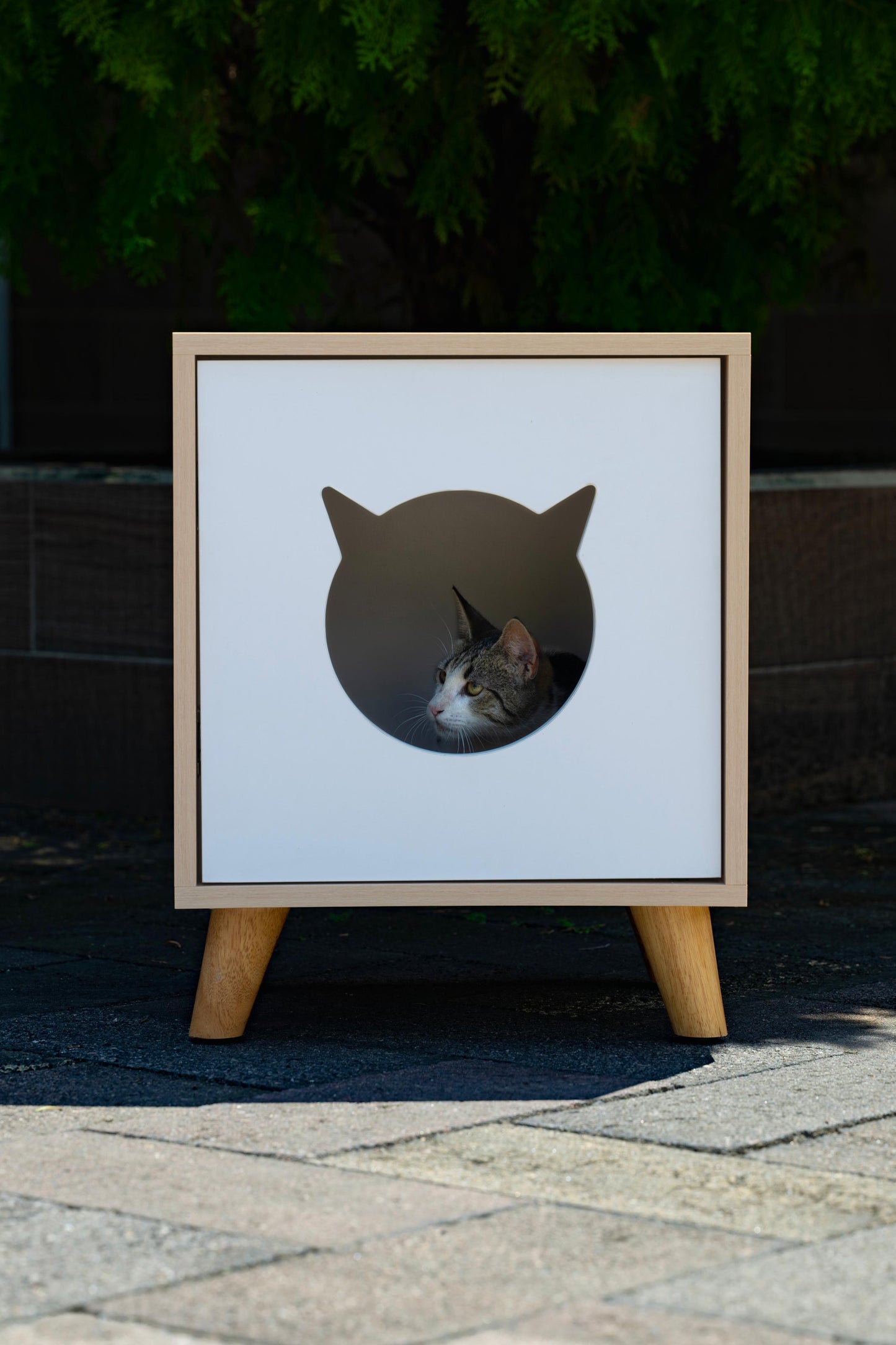 Dormitorio para gato